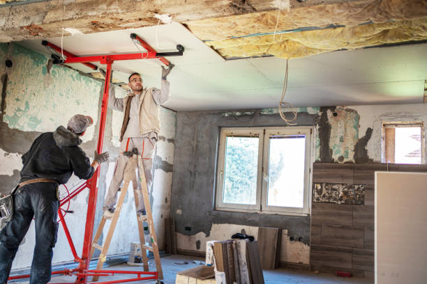 Best Basement Insulation  in Los Ranchos De Albuquerque, NM